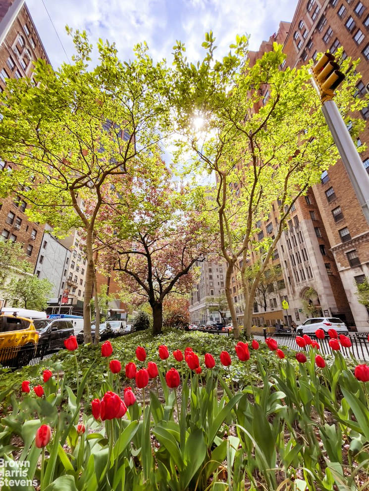 35 Park Avenue 15H Murray Hill New York NY 10016