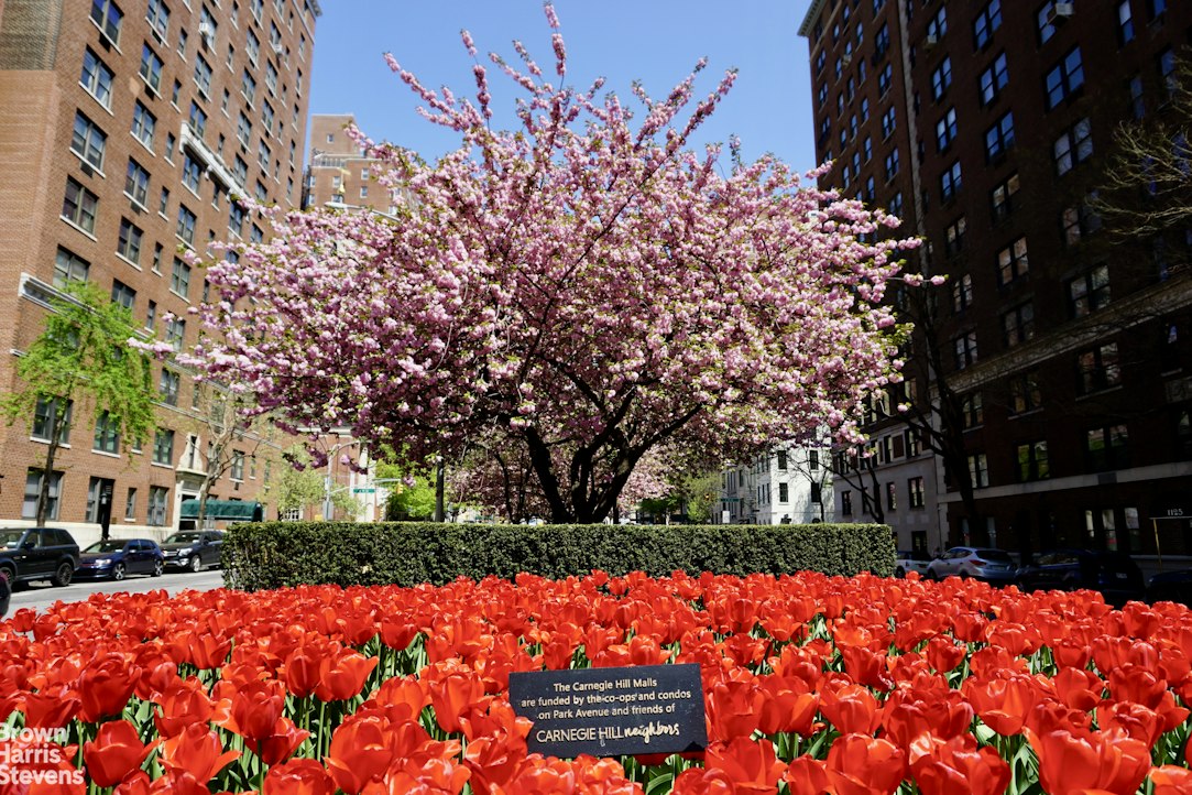 16 East 98th Street 2A Upper East Side New York NY 10029